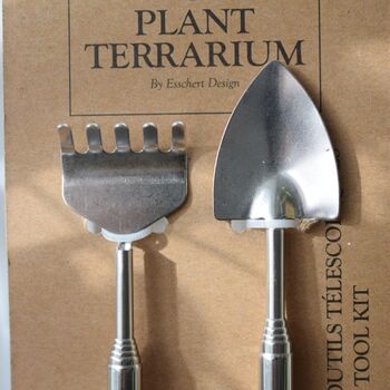 Open Terrarium Kit With Two Terrarium Plants, 8 of 10
