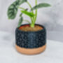 Carbon Honeycomb Planter, thumbnail 4 of 4