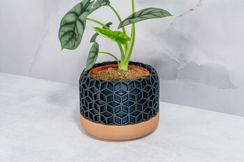 Carbon Honeycomb Planter, 4 of 4