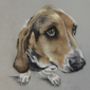 Personalised Pet Portrait Commission, thumbnail 8 of 12