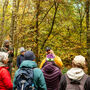 Foraging Experience Near Leeds, thumbnail 6 of 7