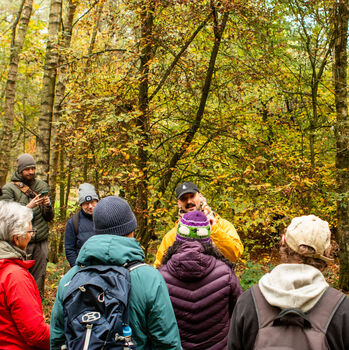 Foraging Experience Near Leeds, 6 of 7