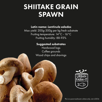 Shiitake Mushroom Grain Spawn 1l, 5l, 4 of 4