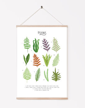 Ferns Print, 3 of 4