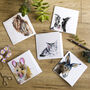 Pack Of Five Pet Themed Blank Greeting Cards, thumbnail 5 of 9