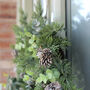 Eucalyptus And Pinecone Wreath, thumbnail 2 of 5
