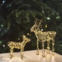 Tabletop Reindeer Light, thumbnail 1 of 3