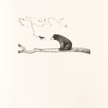 'Bear On Branch' Children's Illustration Print, 2 of 3