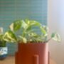 3D Printed Four Leg Plant Pot – Lightweight And Durable, thumbnail 3 of 9