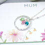 Family Birthstone Circle Necklace Sterling Silver For Mum, Grandma, thumbnail 3 of 6