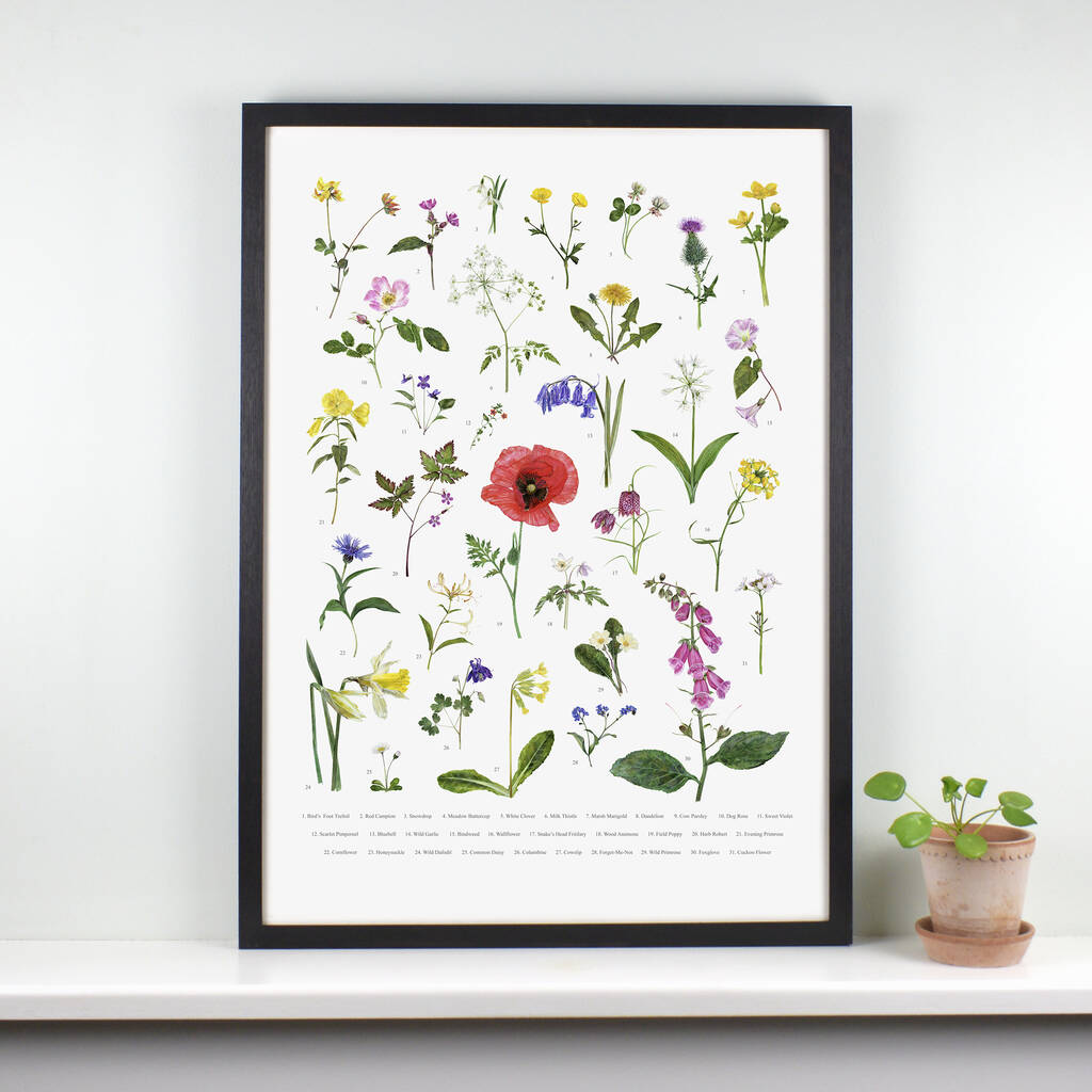 British Wild Flowers Illustrated Print, 1 of 3