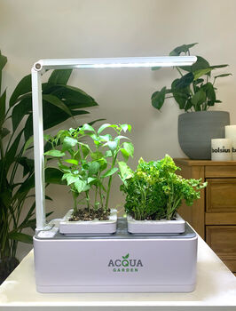 Acqua Smart Garden One Hydroponic Growing System, 3 of 7