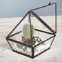 Geometric Glass Diamond Succulent Empty Terrarium, thumbnail 2 of 4