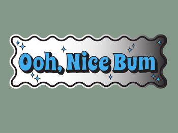 Wavy Edge Nice Bum Mirror Sign, 8 of 11