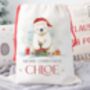 Polar Bear Christmas Sack, thumbnail 2 of 2