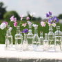Set Of Six Glass Bottle Vases With Cork Stoppers, thumbnail 5 of 8