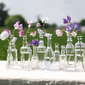 Set Of Six Glass Bottle Vases With Cork Stoppers, 5 of 8