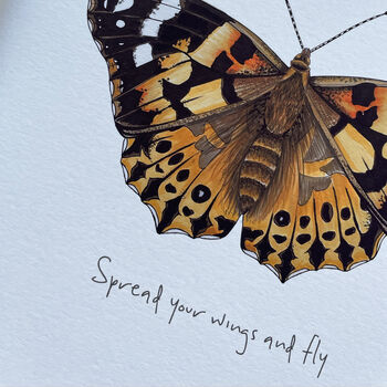 Painted Lady Illustrated Butterfly Print, 4 of 5