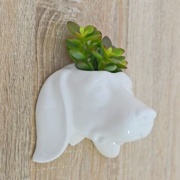 Dog Head Wall Hanging Planter Plant Pot Dog Lover Gift, 2 of 5