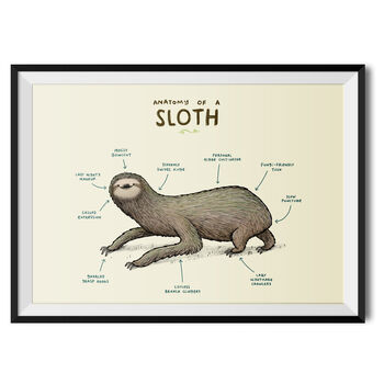 Anatomy Of A Sloth Art Print By Sophie Corrigan, 2 of 4
