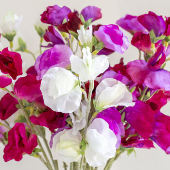 Four Faux Sweet Pea Stems, 3 of 4