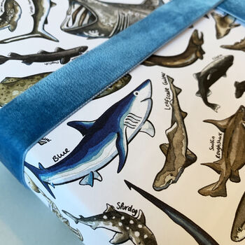 Sharks Species Wrapping Paper Set, 10 of 12