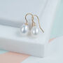 Gloucester Freshwater Pearl And Gold Plated Earrings, thumbnail 1 of 4
