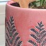 Personalised Pink Fern Bookend Planter, thumbnail 4 of 6