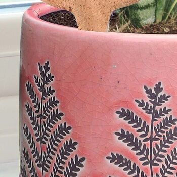 Personalised Pink Fern Bookend Planter, 4 of 6