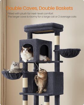 Tall Cat Tree With Caves, Perch, And Scratching Posts, 5 of 9