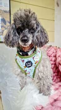 Countryside Ducks Dog Harness With Optional Set, 11 of 12