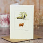 Highland Cow Greetings Card, thumbnail 1 of 4