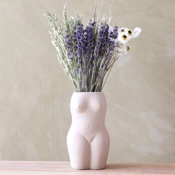 Dried Lavender And Acroclinium Bunch, 4 of 5
