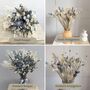 Grey Dried Flower Arrangement With Bunny Tails, thumbnail 3 of 7