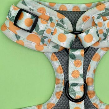 Adjustable Dog Harness | Oranges And Blossoms, 3 of 5