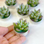 Agave Succulent Tealight Candle Gift Set, thumbnail 2 of 9