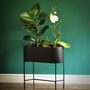 Black Oval Metal Planter Stand, thumbnail 1 of 8