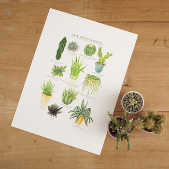 Cacti And Succulents Illustrated Giclée Print, 6 of 7