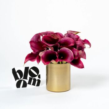 Raspberry Pink Calla Lily Fresh Flower Bouquet, 2 of 3