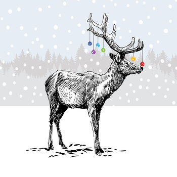 'Merry Christmas My Deer' Xmas Card, 2 of 2