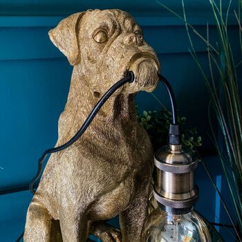 Boxer Bruno Dog Gold Table Lamp, 5 of 6