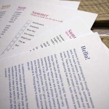 Photography Fun Throughout The Seasons, 4 of 6