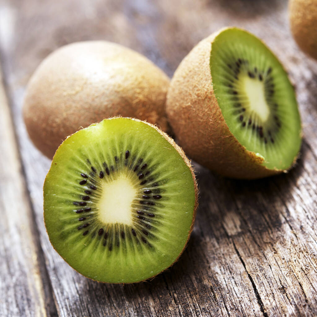 Complete Grow Your Own Kiwi Fruit Plant Kit By Plants From Seed