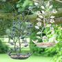 Ornate Hanging Garden Bird Dish, thumbnail 9 of 12