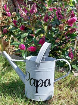 Watering Can Zinc One.6 L, 2 of 9