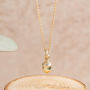 Little Acorn Silver, Fine Gold Or Rose Gold Necklace, thumbnail 5 of 10