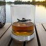 Personalised Glass With Fish Motif And Engraved Collar, thumbnail 3 of 10
