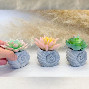 Faux Succulent In Handmade Ammonite Shell Pots, 8 of 9