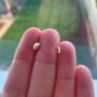 Tiny Leaf Studs In 9ct Yellow Gold, thumbnail 1 of 3