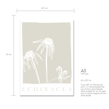 Botanical Echinacea Print, 3 of 4